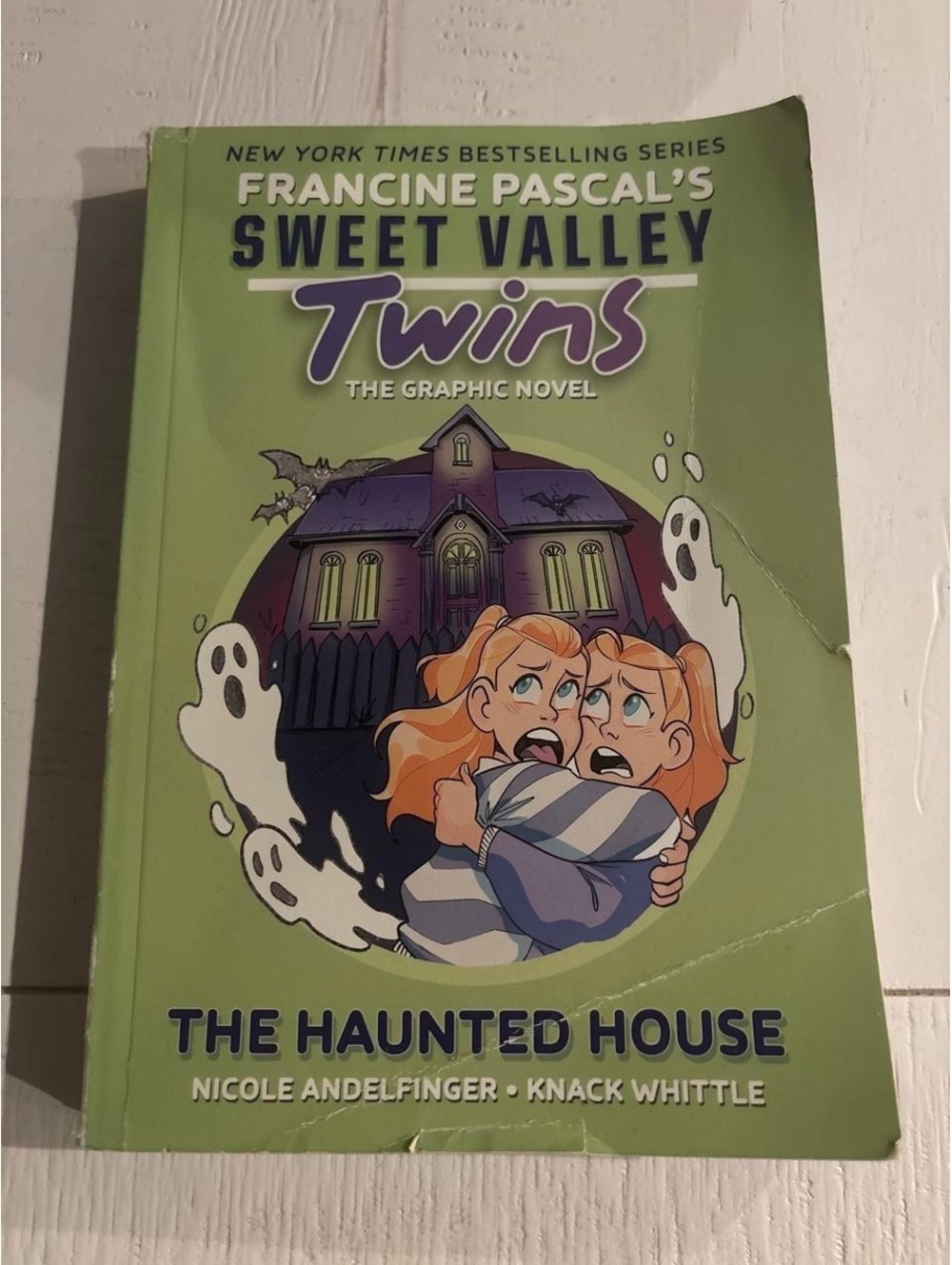 Sweet Valley Twins
